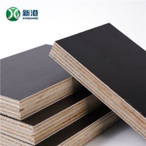 Shuttering Plywood