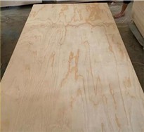 WBP GLUE PINE CORE Pine CDX Structural PLYWOOD FOR CONSTRUCTION