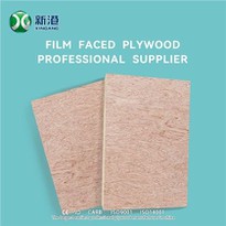 XINGANG COMMERCIAL PLYWOOD