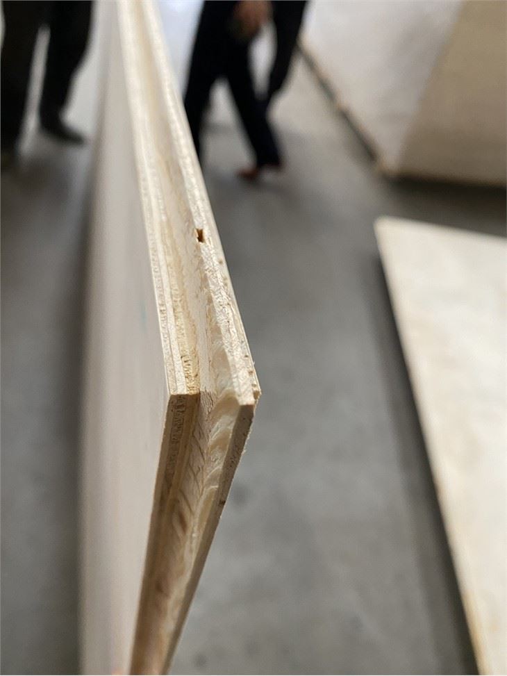 T&G Pine Plywood