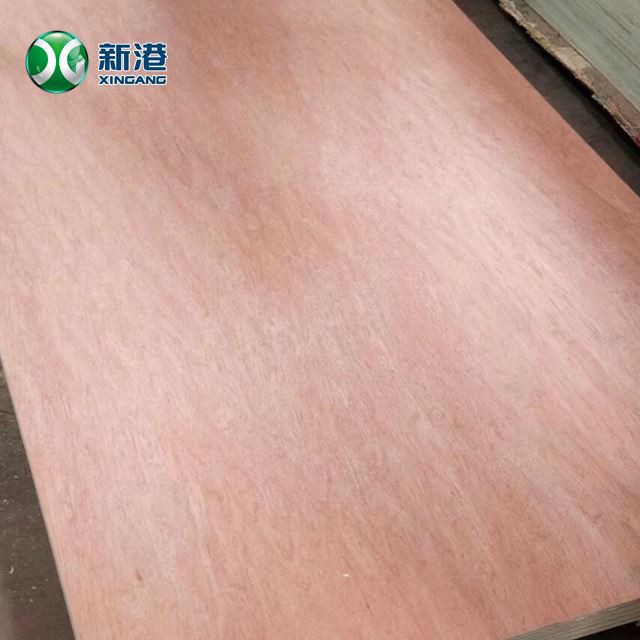 Various Thickness Bintangor Plywood For Packing