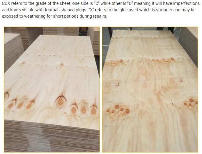 WBP GLUE PINE CORE Pine CDX Structural PLYWOOD FOR CONSTRUCTION