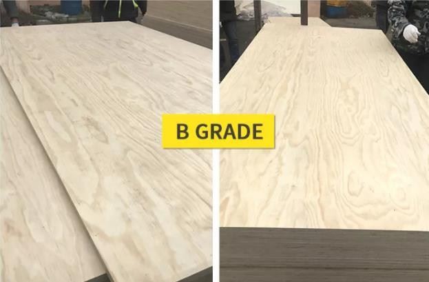 WBP GLUE PINE CORE Pine CDX Structural PLYWOOD FOR CONSTRUCTION