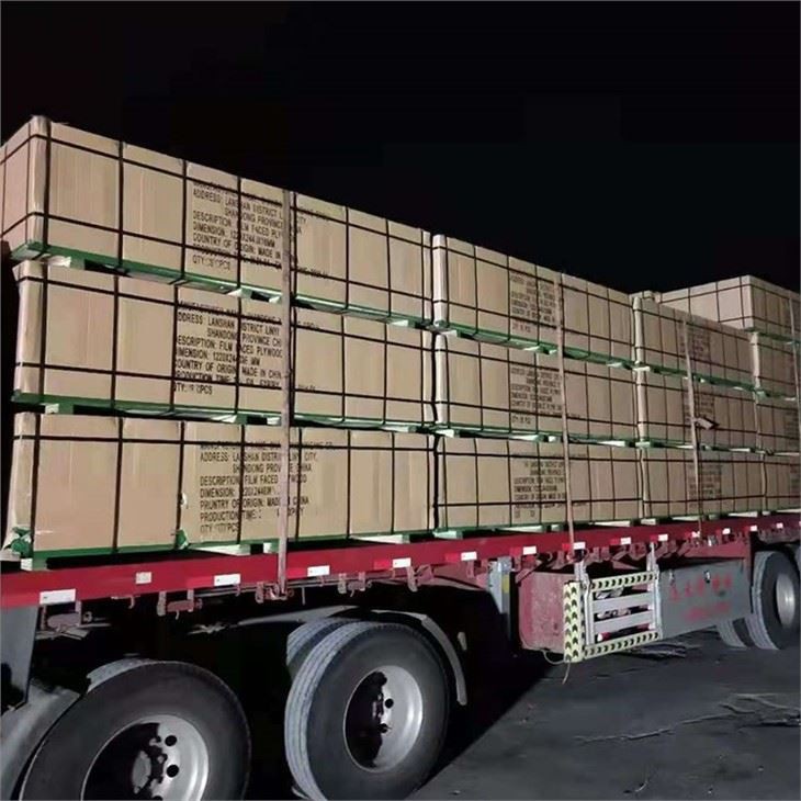 XG-PLY PVC Film Faced Plywood Classic Green Color