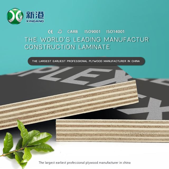Xingang Best Sale 12mm 15mm 18mm Brown/black Film Faced Plywood Sheet For Construction