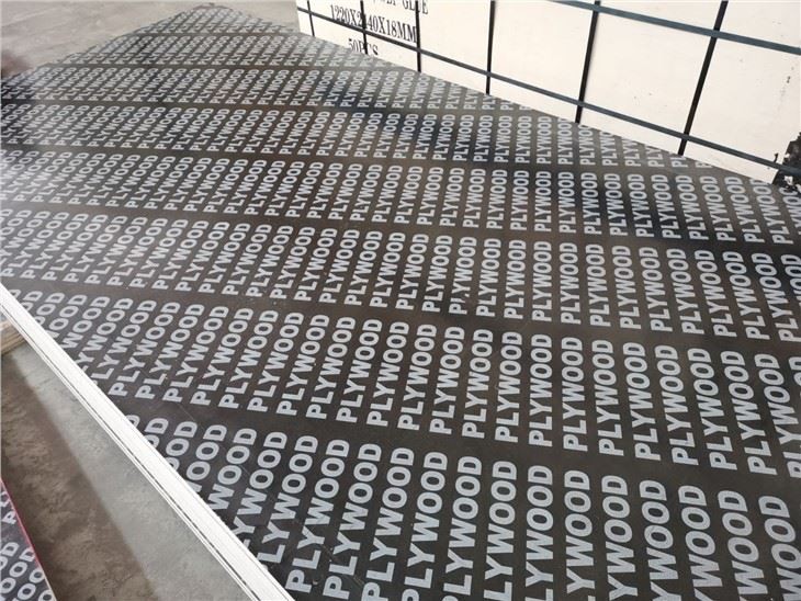 Xingang Birch Film Faced Plywood