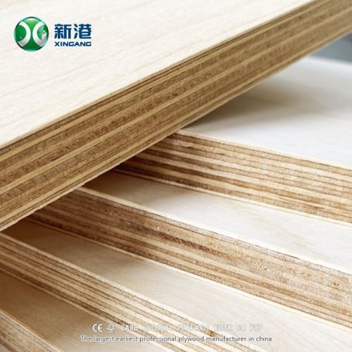 XINGANG Full Birch Plywood 18mm