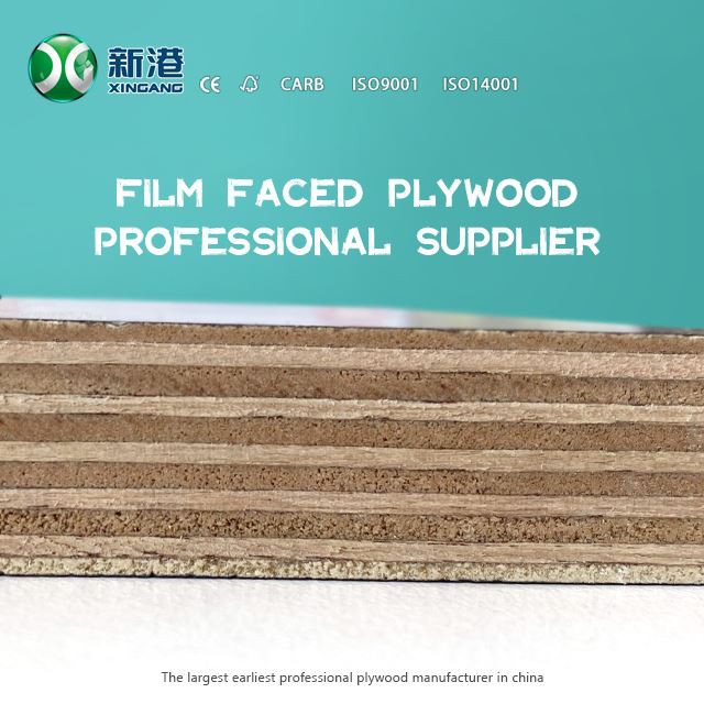 Xingang Hotsale Shuttering Film Faced Plywood WBP Glue Main Poplar Marterials Best Price