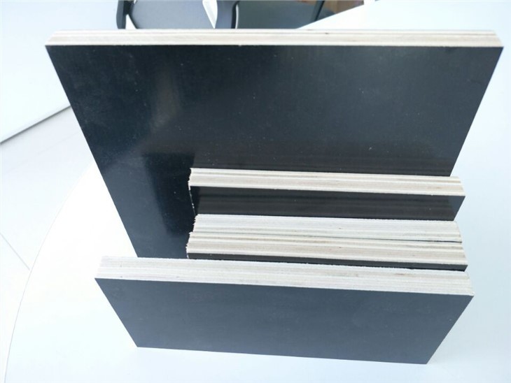 15mm Poplar CoreFilm Faced Plywood in China
