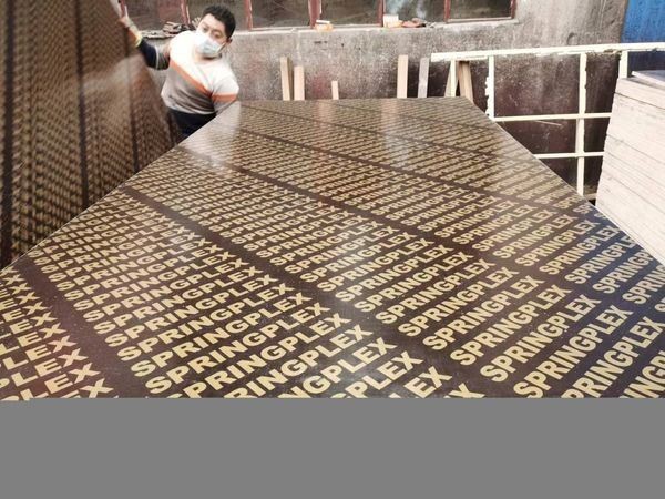 17mm 18mm Black Brown Poplar Core Construction Concrete Formwork Shuttering Plywood