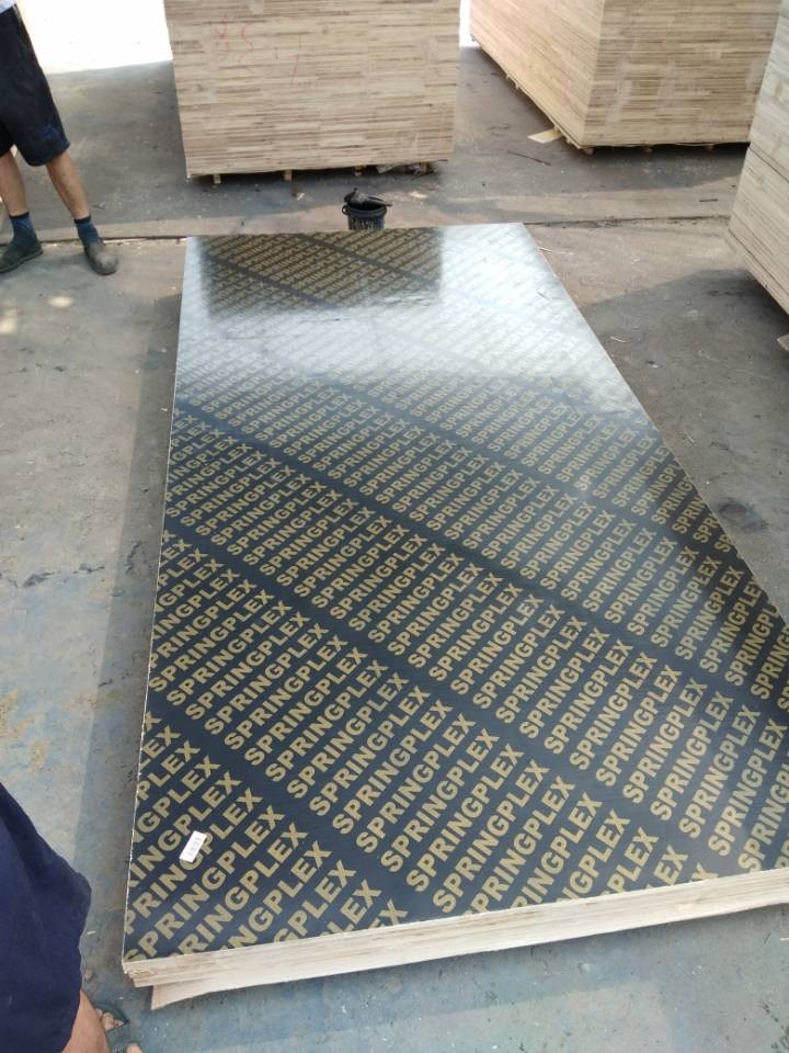 18mm Conrecte Plywood- Chinese Supplier