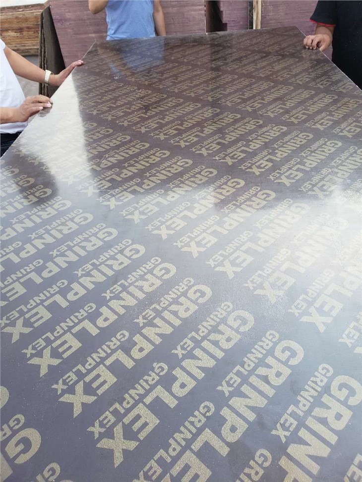 18mm Poplar Quality Film Faced Plywood Supplier