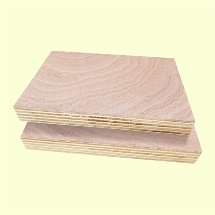 18mm Veneer Faced Commercial Plywood Panel For Decoration