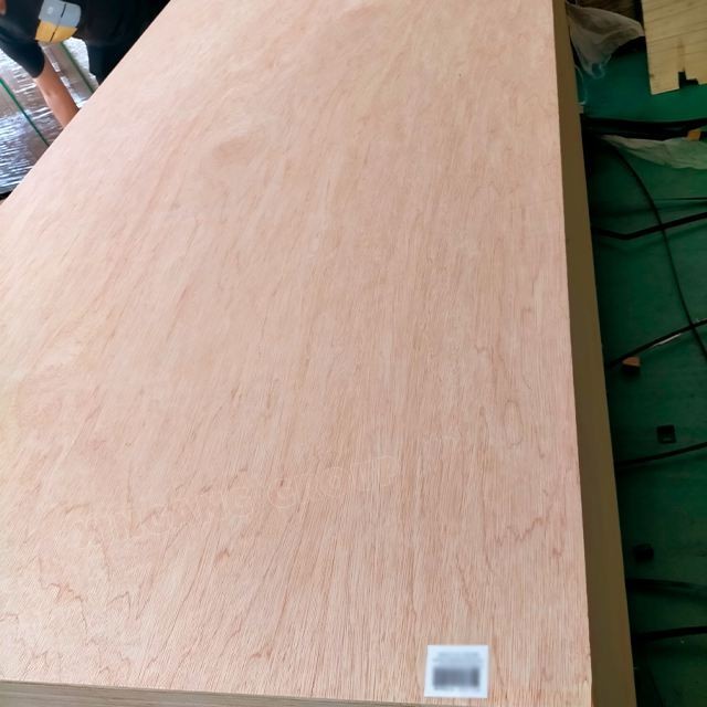 9mm 12mm 15mm 18mm Bintangor Plywood