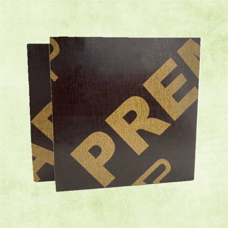 Best Value Series Film Faced Plywood Board WBP MR Glue High Quality Wood