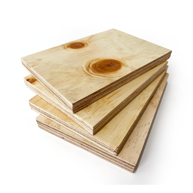 CDX Construction Pine Plywood
