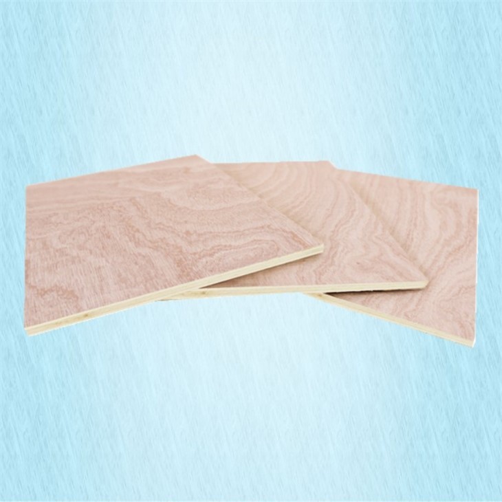Chinese Natural Wood Poplar Core Commercial Plywood Hot Sale