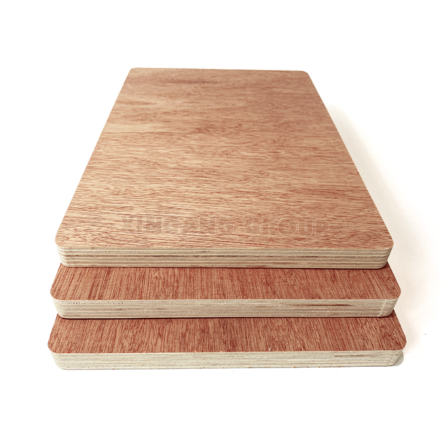 Commericial Bintangor Plywood
