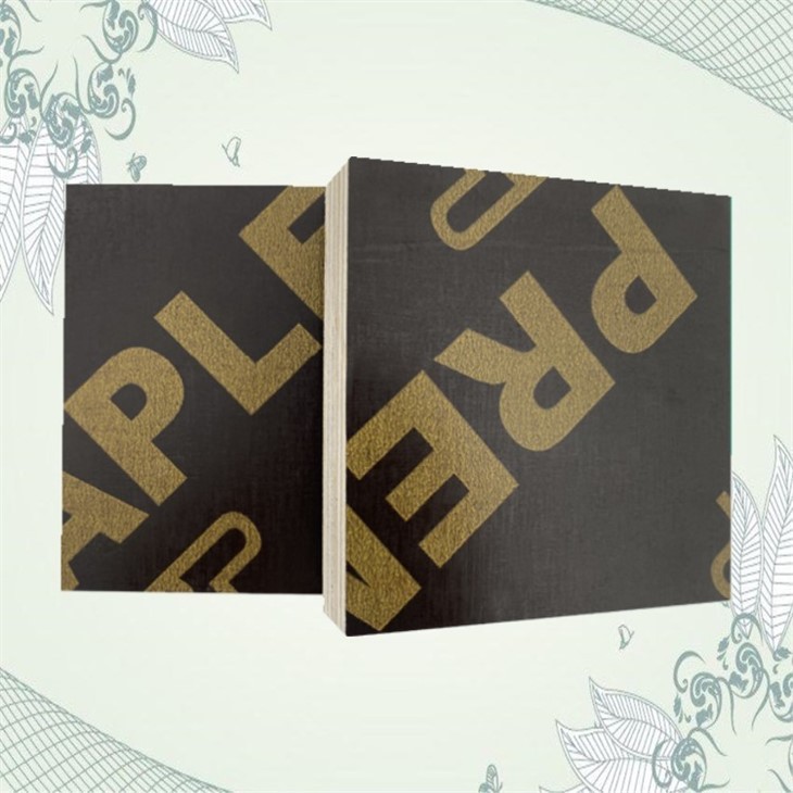 Construction Plywood Film Faced Plywood Cheap MR Glue