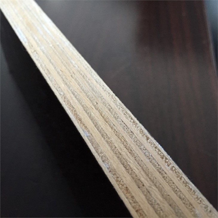 Film Faced Plywood 1250x2500mm 18mm15mm12mm