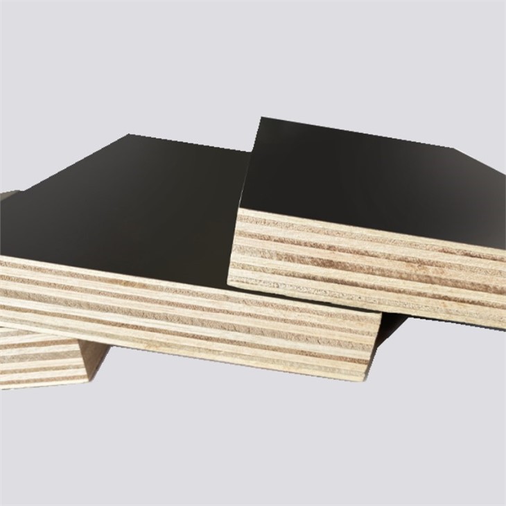 Film-Faced Plywood Shuttering Board Linyi Factory Black Film