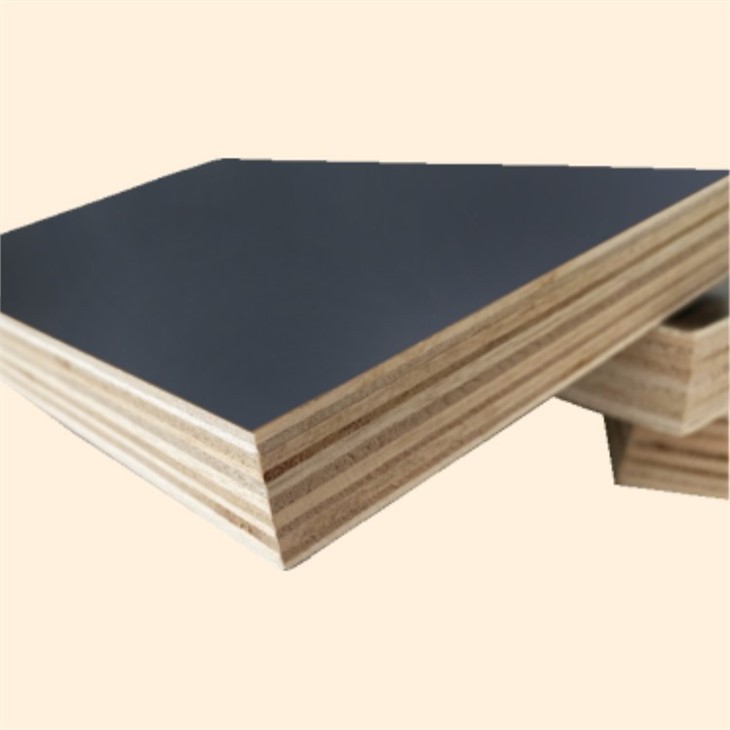 Film-Faced Plywood Shuttering Board Linyi Factory Black Film