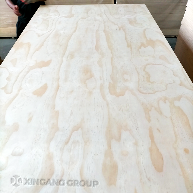 High Quality Pine Plywood Factory Price 3mm 6mm 9mm 12mm 15mm 18mm For Construction