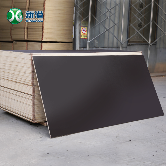 Marine Hardwood Full Eucalyptus Plywood Film Faced Plywood 17mm 18mm 1200x18mm F17 Consrtuction Board