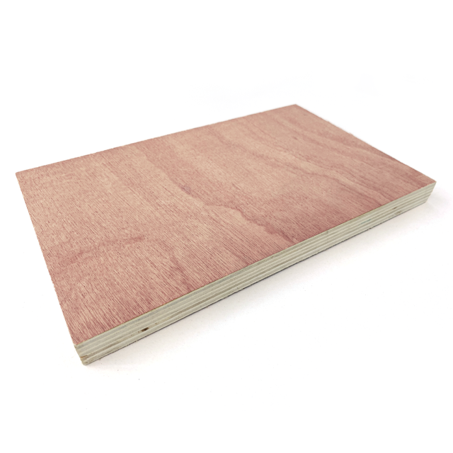 Sapeli Plywood