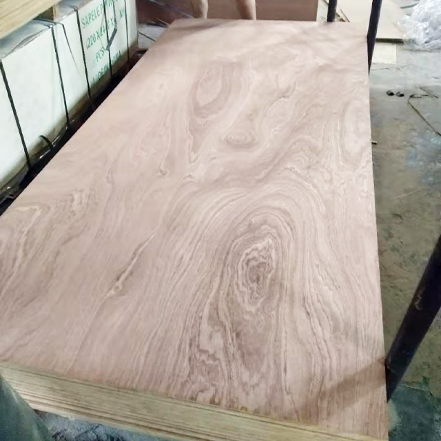 Sapeli Plywood