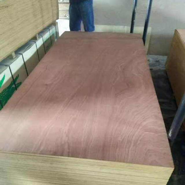 Sapeli Plywood