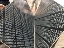 1220x2440x18mm Phenolic Board