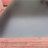 15mm Film Faced Plywood