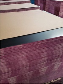 18mm Marine Plywood Price- Xingang Global Group