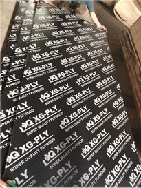 18mm TwoTimes Use Film Faced Plywood For Construction