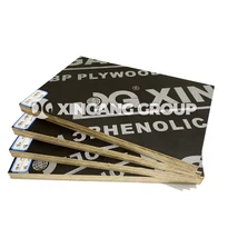 Black Film Faced Plywood Finger Joint Core 18mm