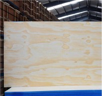 CDX Pine Plywood For Structural