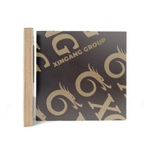 Competitive Price Poplar Core Film Faced Plywood