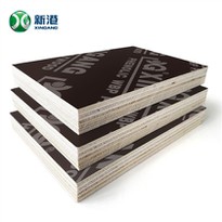 Full Eucalyptus Plywood for construction
