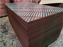 Formwork Film Faced Plywood Shuttering Plywood For Construction