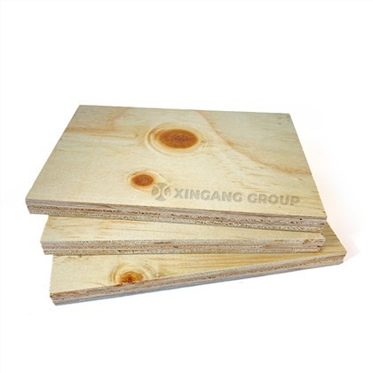 CDX Construction Pine Plywood