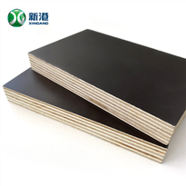 Marine poplar Board Brown Film