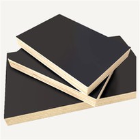 Plywood Manufacturer Wood Plant Laminated 18mm
