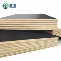 Qatar Market 16mm Plywood