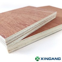 Sapele Plywood