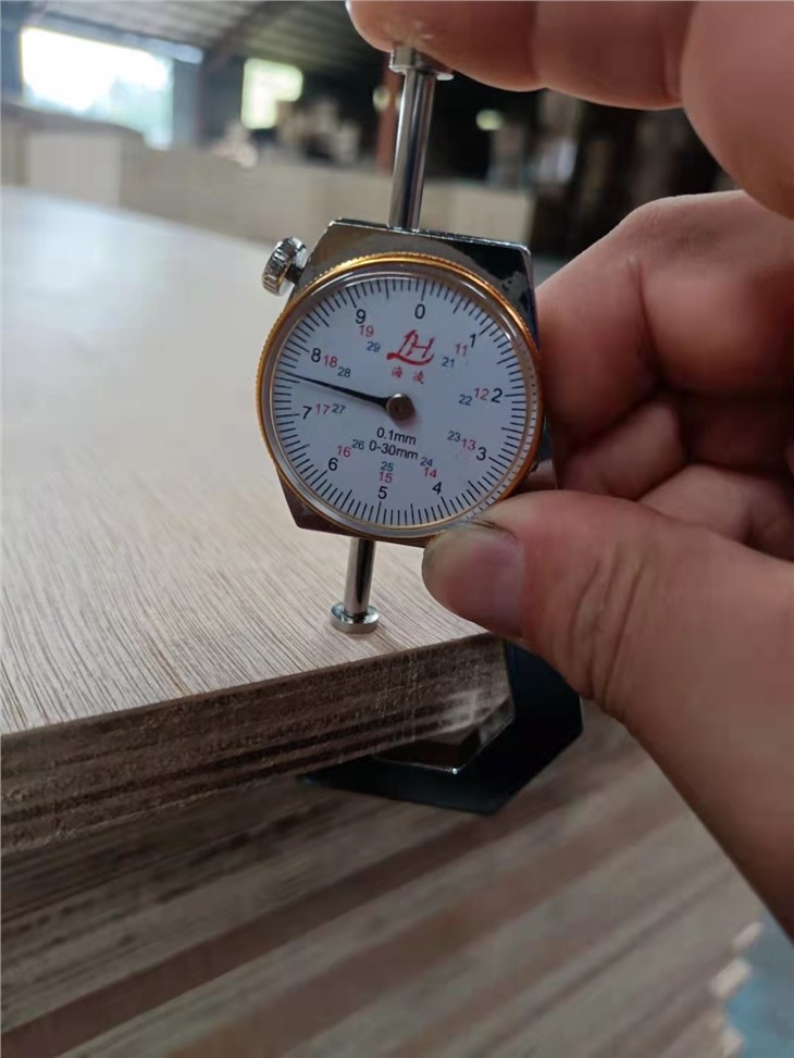 Wholesale Price 820/920x2150mm 2.7mm 3mm 3.6mm Okoume Bintangor F&b B/C Grade Factory Supplier
