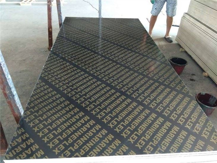 Xingang Film Faced Plywood For Construction