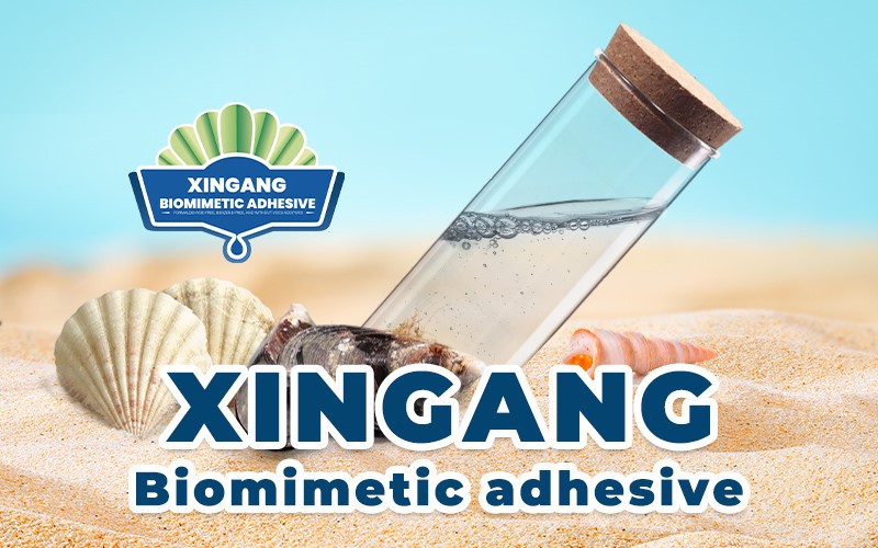 Xingang Biomimetic Adhesive Xingang Biomimetic Adhesive