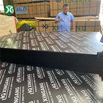 Black Shuttering Board Hardwood Plywood
